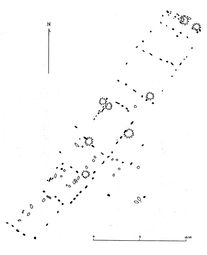 Linear Marae Type 3